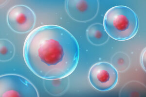 Mesenchymal stem cells benefits