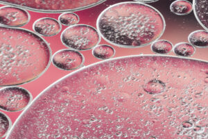 Candidato Ideal para la Terapia con Células Madre