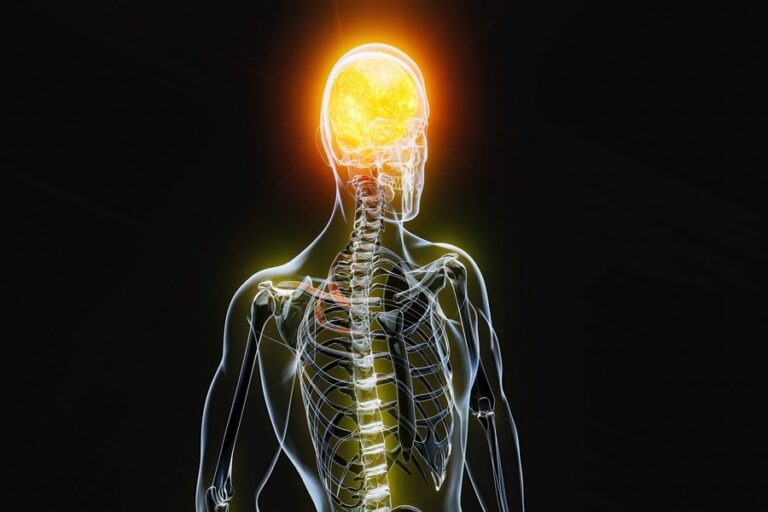 Why Peripheral Neuropathy Occurs